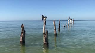 Virtual Beach Walk - South Fort Myers Beach, Florida. Come on a virtual beach walk with me!