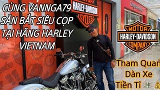 Cùng VANNGA79 săn cọp tại hãng Harley Vietnam và tham quan các siêu phẩm tiền tỷ tuyệt đẹp hiện có