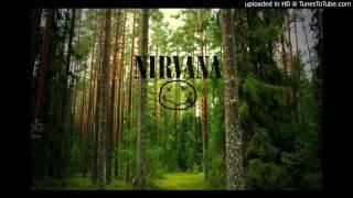 Nirvana - Where Did You Sleep Last Night (In The Pines) HQ