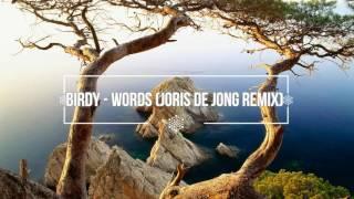 Birdy - Words (Joris de Jong remix)