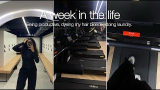 WEEK IN MY LIFE LIVING ALONE IN MY 20s | being productive, I went blonde, cooking, gym routine