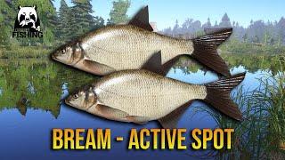 Active BREAM Spot at Old Burg - Russian Fishing 4