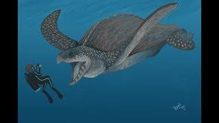 The Gigantic Sea Turtle - Archelon