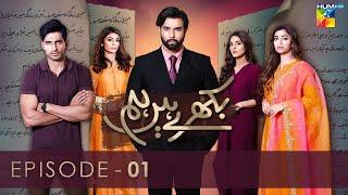 Bikhray Hain Hum - Episode 01 - (Noor Hassan - Nawal Saeed - Zoya Nasir) - 18th August 2022 - HUM TV