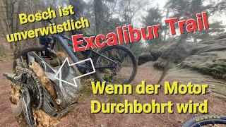 Excalibur Trail Motor Aufgespiest und des Todes Situationen #emtb #mtb #mountainbike #ebike #bosch