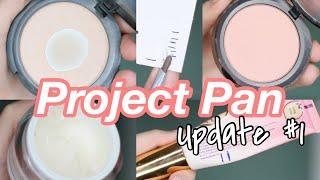 Project Pan Update// Major Progress ALREADY! 2021 Rolling Project Pan