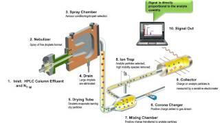 Charged Aerosol Detection Applications in Biopharmaceutical Analysis