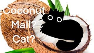 |coconut mall| Black cat -pomkincity