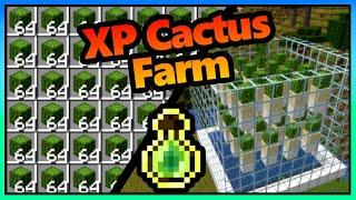 Cactus XP Farm Minecraft | Super Easy | 1.20 - 1.21+