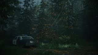 alan wake II - cauldron lake ambience