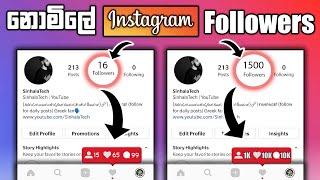 Free Instagram Followers Likes 2021 | insfollow | Sinhala