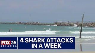 Four shark attacks in a week at Central Florida beaches