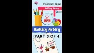 Full video of this lesson on the Axillary Artery (Mnemonic) is in the description!