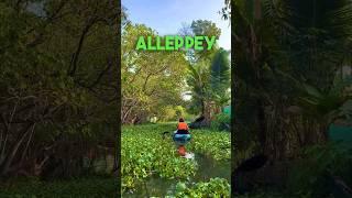 Ultimate Guide To Alleppey #travel #travelblogger #2023 #india #trip #kerala #alleppy #alappuzha