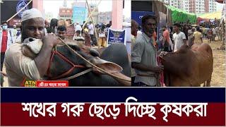 ক্রেতা শূন্য হয়ে পরেছে রাজধানীর গরুর বাজার | Gorur Haat | ATN Bangla News