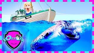 Learn About Sharks - Shark Kids - zOrrOs surprises