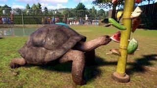 Planet Zoo - Aldabra Giant Tortoise Gameplay (PC HD) [1080p60FPS]