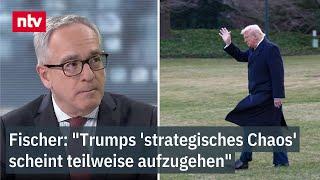 "Trumps 'strategisches Chaos' scheint teilweise aufzugehen" - Umgang mit Ukraine und Russland