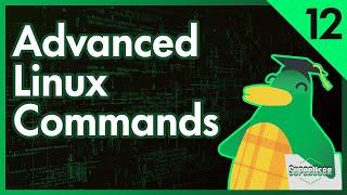Advanced Linux Commands | Linux for Programmers #12