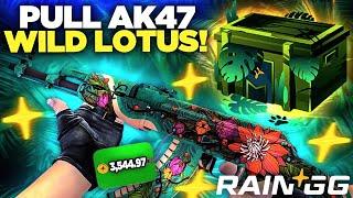 BEST PULL AK47 WILD LOTUS ON RAIN.GG | Rain.GG Promo Code 2024 | RAINGG PROMOCODE | Rain.GG