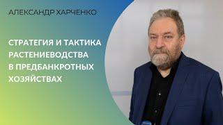 Как выжить? Стратегия и тактика растениеводства в предбанкротных хозяйствах | Александр Харченко