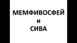 МЕМФИВОСФЕЙ и СИВА (стол и поля)