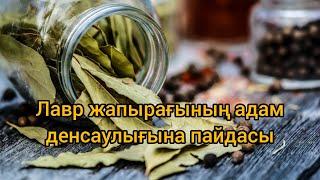 Лавр жапырағының адам денсаулығына пайдасы.