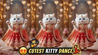 Cat videos funny dance  Videos for cats | बिल्ली डांस | Funny cats #funny #dancingcat #cat