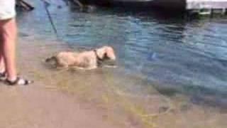 Callie deals with her fear of the waves