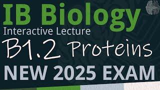 NEW 2025 EXAM - IB Biology B1.2 - Proteins [SL/HL] - Interactive Lecture