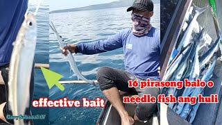 panghuhuli ng isdang balo o needle fish buhay na isdang gono ang pamain #effectivelivebait