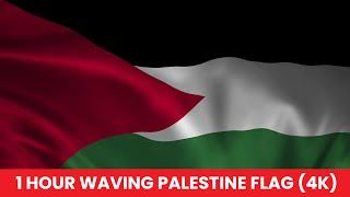 Palestine Waving Flag 1 Hour Nonstop in 4K