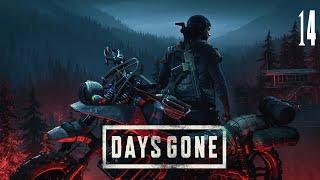 Прохождение игры Days Gone на 100% #14(Припасы Для Сары)