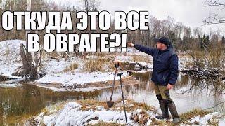 НАШЕЛ НА КРАЮ ОВРАГА НЕТРОНУТОЕ ПОСЕЛЕНИЕ! Поиск в лесу с металлоискателем / Russian Digger