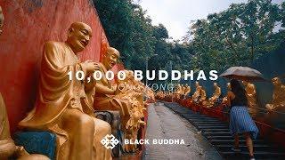 10,000 Buddhas | Black Buddha (Hong Kong)