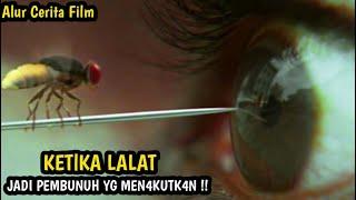 KETIK4 LALAT JADI HEW4N YG MEN4KUTK4N  ‼️ Alur Cerita Film