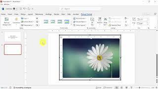 How to wrap text around an image in PowerPoint 365