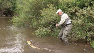 Pecanje potočne pastrmke na reci Nišavi - Rafting Sićevačkom klisurom | Fishing brown trout