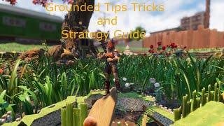 Grounded Tips Tricks and Strategy Guide Ep 1