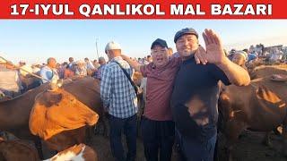 17-ИЮЛЬ/КАНЛЫКОЛ МАЛ БАЗАРЫ/СКОТНЫЙ РЫНОК/BUQALAR/BIG BULLS IN THE WORLD/BIG COW