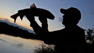 Russia. Khabarovsk Krai 2016 fishing Shantar Islands