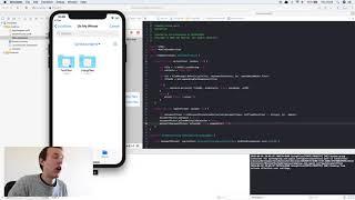 Supporting the Files App in iOS 11 using Swift
