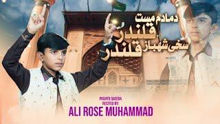 13 Rajab Qasida | Ali Rose Muhammad  2024 - Duma Dum Must Qalandar | Ali Rose Muhammad Official