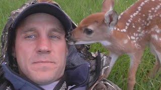 Bambi-Rettung: Rehkitz will sich nicht von seinem Retter trennen