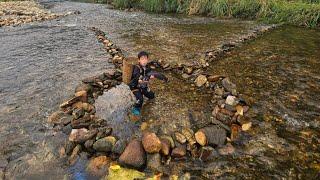 Primitive stream fish trapping skills, how to make super simple fish traps and harvest fish to sell