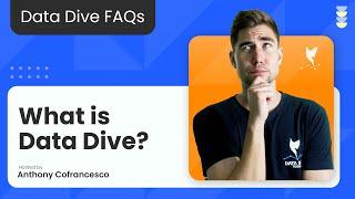 What Is Data Dive? Dominate Your Niche on Amazon