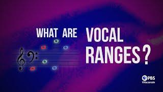 What Are Vocal Ranges? | Acapocalypse! A Cappella's New Note