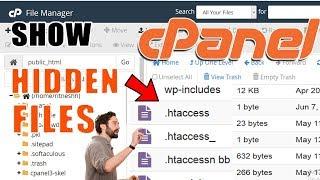 How to show hidden dot files in cPanel [Step by Step] ️