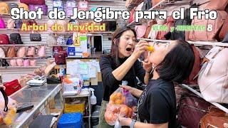 Vlog De NavidadㅣShot de Jengibre para Su Defensa