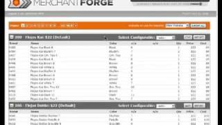 Retail Pro to Magento Configurable Product Import Tool by Hybrid Forge